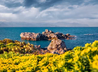 Fotobehang Blooming yellow spring flowers on Milazzo cape. Picturesque morning view of Sicily, Italy, Europe. Bright tropical seascape of Mediterranean sea. Traveling concept background. © Andrew Mayovskyy