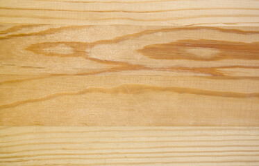 Texture of wood background closeup