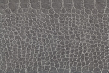 Gray crocodile skin texture as a background.