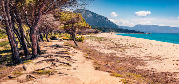 Panoramic morning view of Osala Beach. Attractive summer scene of Sardinia island, Italy, Europe. Beautiful seascape of Mediterranean sea. Traveling concept background.
