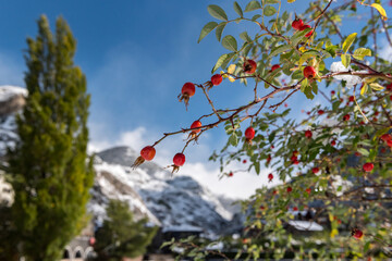Beautiful sunny sunrise in the town of Canillo in Andorra above the Pyrenees