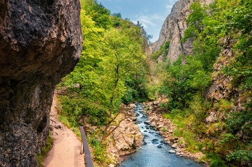 Fototapeta na wymiar Bright sunny view of Cheile Turzii / Turzii's Gorge canyon, large natural preserve with marked trails for scenic gorge hikes crossing streams & bridges. Beauty of nature concept background.
