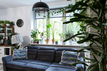 Interior of living room with grey sofa with pillows, big window, green plants and stylish lamp. Scandinavian design in apartment. Lifestyle.