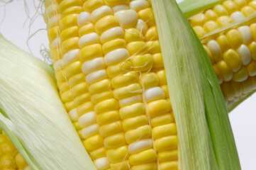 皮を剥いた完熟のｽｲｰﾄｺｰﾝ