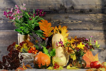 On a gray wooden background on yellow, red leaves, yellow and orange pumpkins, bouquets of small autumn flowers.
