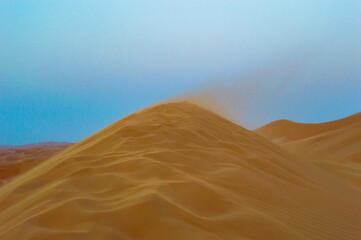 sand dunes in the desert