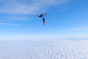 Naklejka na ściany i meble Skydiving. Three friends are flying and having fun in the sky.