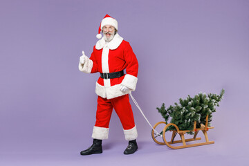 Full length portrait excited Santa Claus man in Christmas hat suit coat glasses carries sleigh with fir tree showing thumb up isolated on violet background. Happy New Year celebration holiday concept.