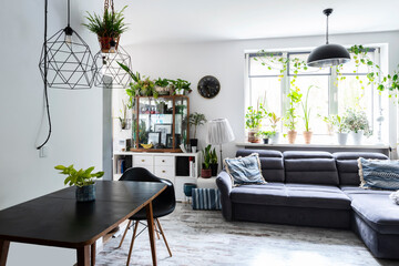 Modern living room with sofa and dining room with table and chair. Spacious interior with big window and green plants in scandinavian style.