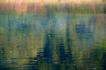 Monet without water lilies