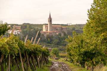 Fototapeta na wymiar The Church of Saint Vittore in the Region Veneto in Italy with Wine Yards in front on a sunny autumn day