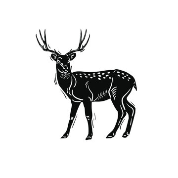 Vector deer isolated on white. Deer silhouette, vector illustration. Black and white vector horned deer illustration. 