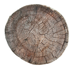 Wooden old stump, wood texture background isolate on white