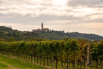 Fotobehang The Church of Saint Fermo and Saint Rustico in the Region Veneto in Italy with Wine Yards in front on a sunny autumn day © Lukas