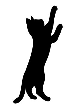 じゃれる Images Browse 1 750 Stock Photos Vectors And Video Adobe Stock
