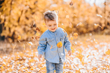 Happy cute boy playing with autumn leaves in the Park