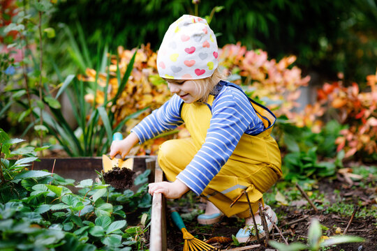 Adorable little toddler girl working with shovel in domestic garden. Cute child learn gardening, planting and cultivating vegetables in domestic garden. Kid with garden tools. Ecology, organic food.
