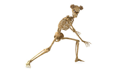 Scary Skeleton in action pose
