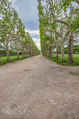 Fototapeta premium Public Park of the Observatory at terrace of the old castle of Meudon. Municipality of Meudon (in the southwestern suburbs of Paris), Hauts-de-Seine, Ile-de-France, France.