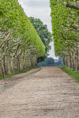 Public Park of the Observatory at terrace of the old castle of Meudon. Municipality of Meudon (in the southwestern suburbs of Paris), Hauts-de-Seine, Ile-de-France, France.