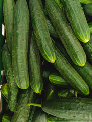 Green fresh cucumbers are in the hypermarket for sale.