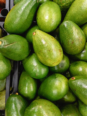 Green avacado fruits are spread out in the store for sale.