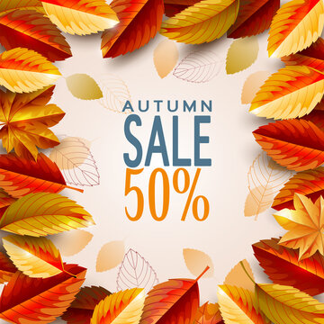 Autumn season background decorate with leaves and center space. Autumn template for shopping sale promotion, poster, leaflet, web banner, greeting card and festival invitation. Vector illustration.