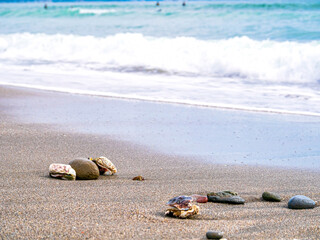 【神奈川県 江ノ島】砂浜と貝殻