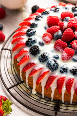 Homemade Berry Sponde cake Served with Pudding