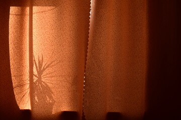 sunbeams on the curtains