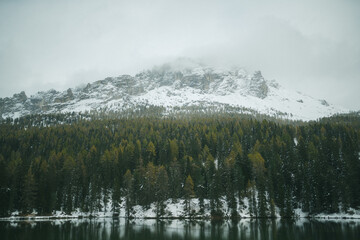 fog over the mountains