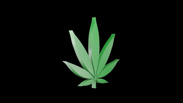 Cannabis leaf icon spinning. Alpha channel. Seamless looping.