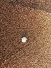 stone wall background