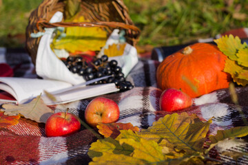 Fototapeta na wymiar Autumn picnic. Orange pumpkin, apples, book and basket lie on the red blanket in the park. Picnic wallpaper.