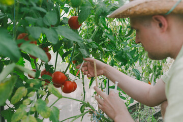 Genetically modified foods or GMO food, genetic improvement of produce and dna manipulation...