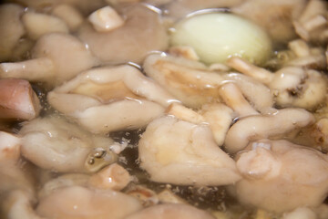 Butter mushrooms are peeled and boiled in water