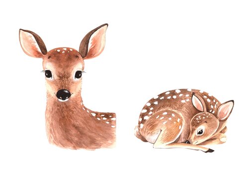 Set of watercolor illustrations of cute cubs deer,
  animals isolated on white background. hand painted close up