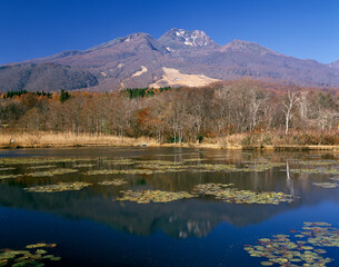 妙高山といもり池