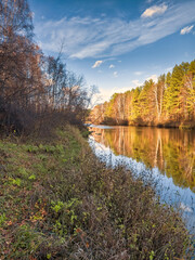 Autumn landscape, forest trees are reflected in calm river water against a background of blue sky and white clouds.