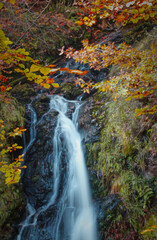 waterfall in autumn
