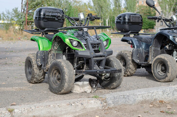 Puppy stray dog is found shelter under a green  quad bike. © Mikhail