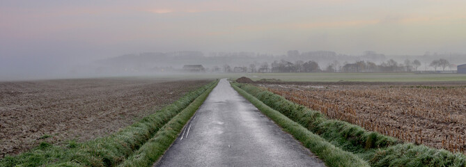 In flemish fields morning misty landscape view - obrazy, fototapety, plakaty