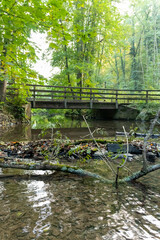 Fototapeta na wymiar Little dam infront of an old bridge over a little creek or forest brook with a big branch in the water and rocks with autumn foliage as idyllic scenery on a hiking tour in the wilderness in clean air
