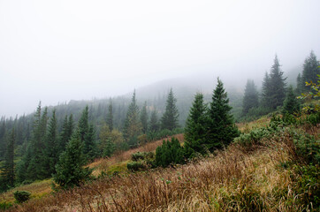 Fototapeta na wymiar Autumn landscape in the mountains with a fog. Carpathian Mountains, Ukraine.