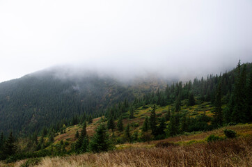 Autumn landscape in the mountains with a fog. Carpathian Mountains, Ukraine.