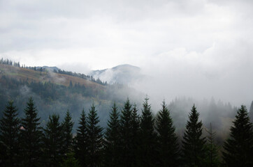 Autumn landscape in the mountains with a fog. Carpathian Mountains, Ukraine.