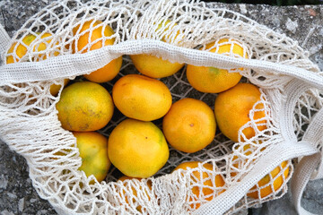 Mesh bag filled with tangerines in the yard. Top view.