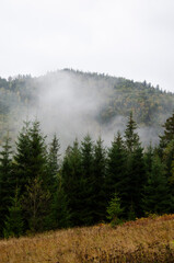 Autumn landscape in the mountains with a fog. Carpathian Mountains, Ukraine.