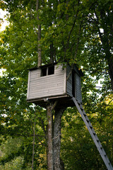 View of a backyard tree house hiding up high in the branches and green leafs