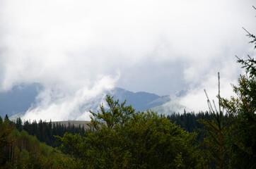 Autumn landscape in the mountains with a fog. Carpathian Mountains, Ukraine.